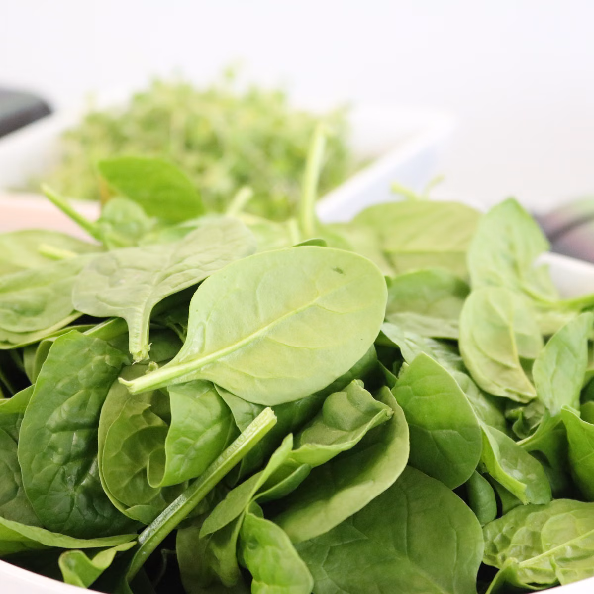 Baby Spinach