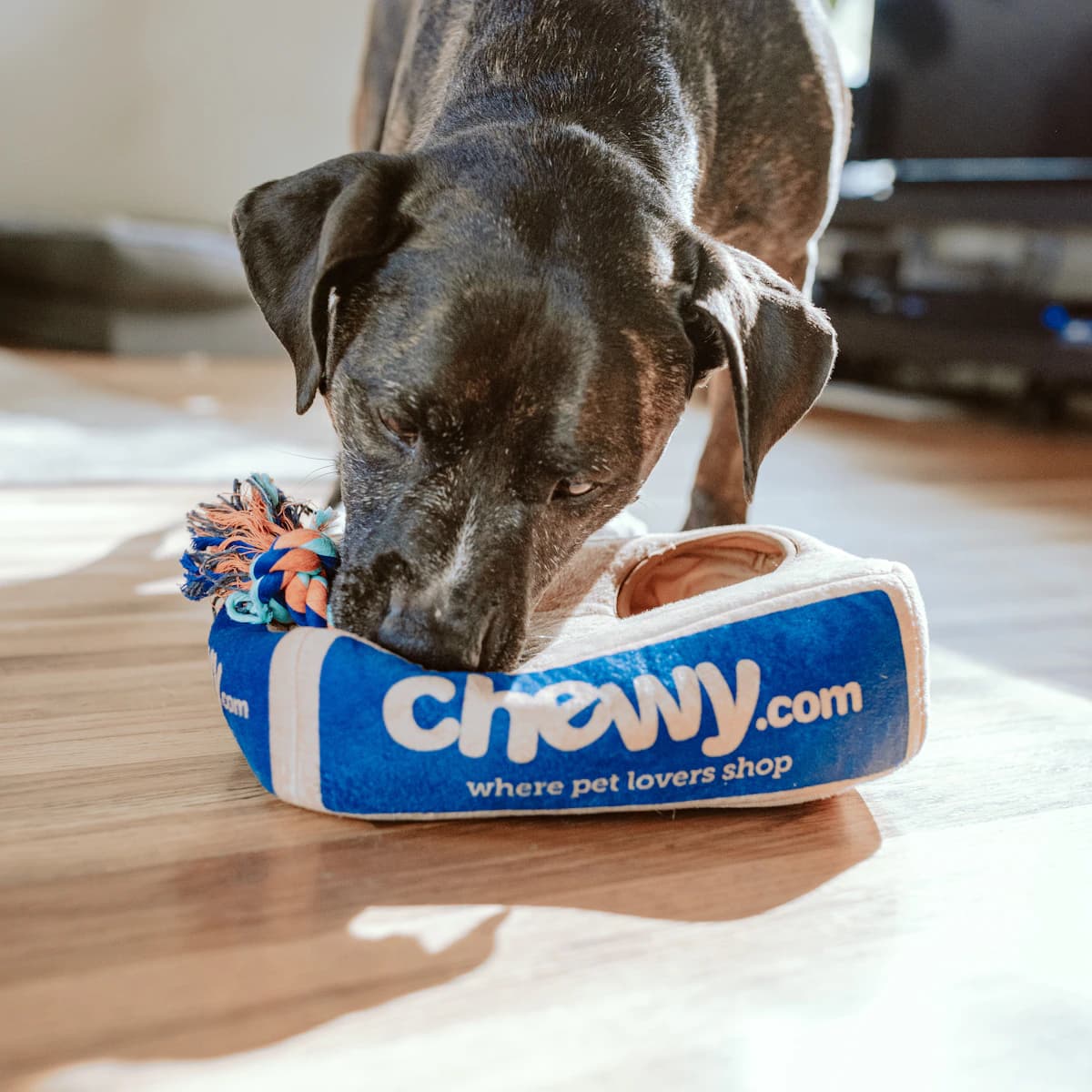 Peanut Butter Dog Treats