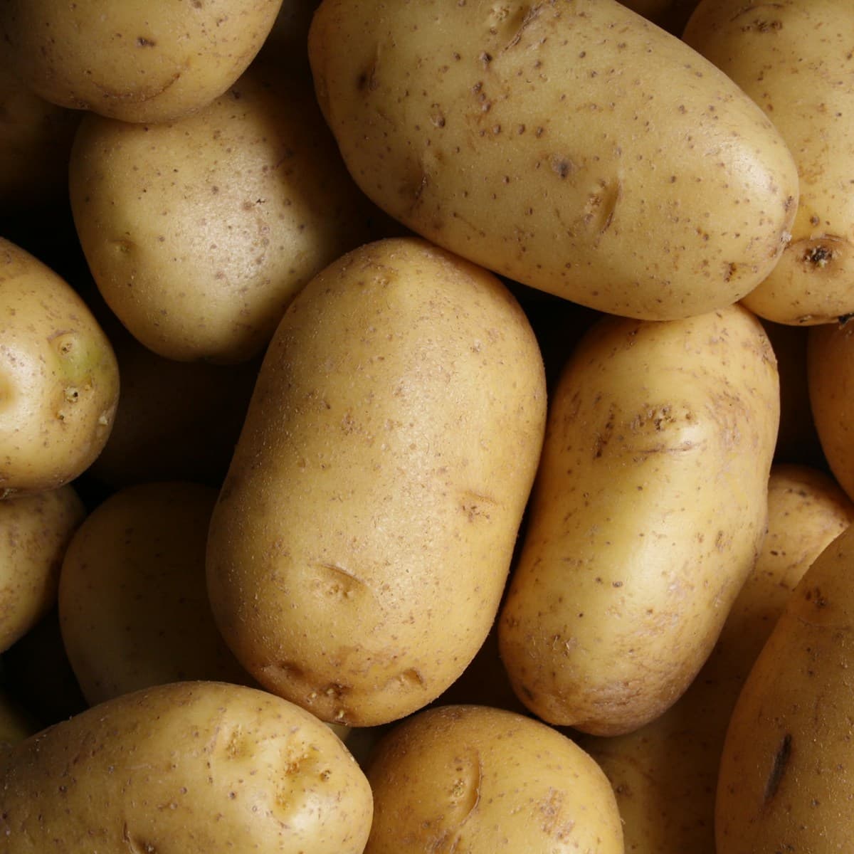 Gold Creamer Potatoes