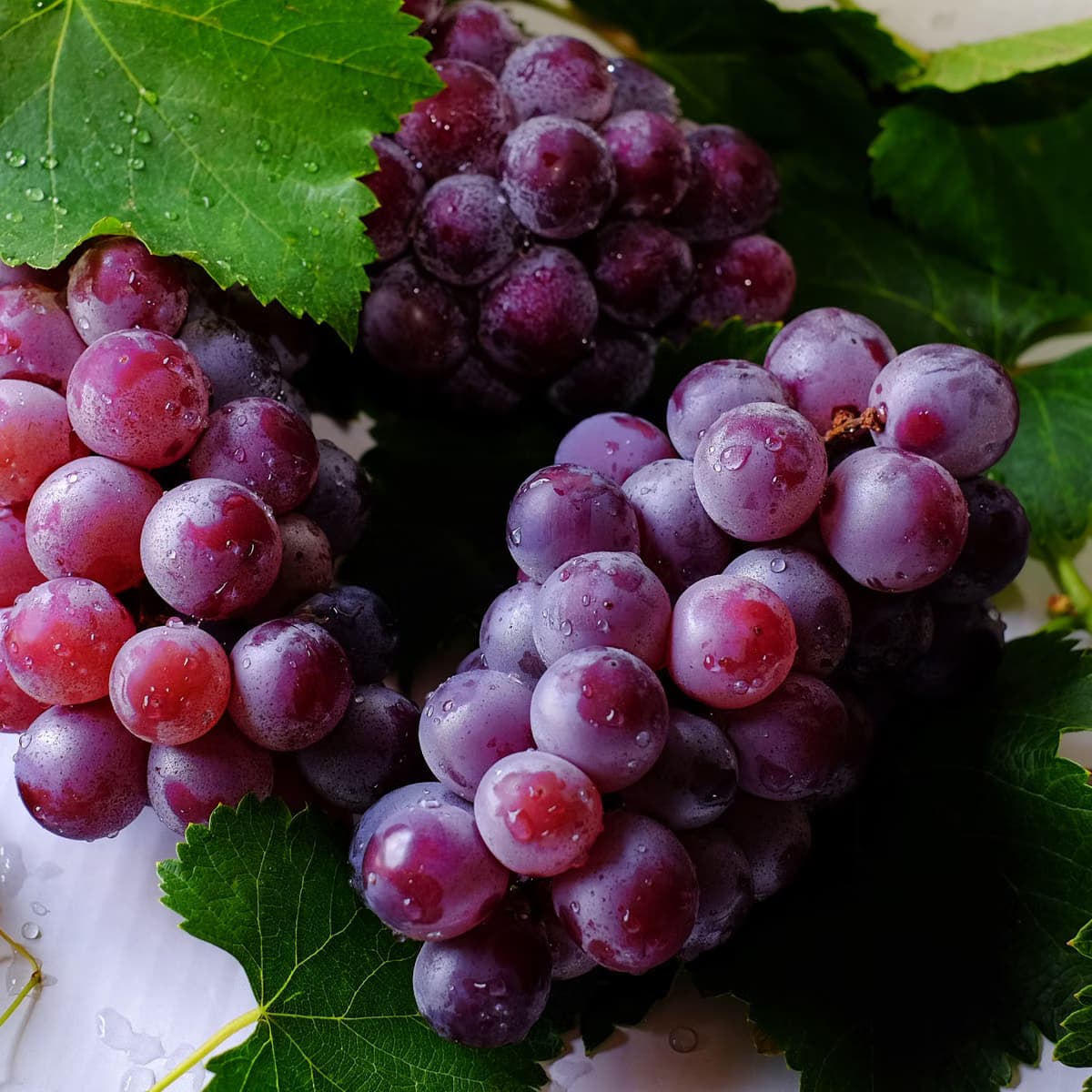 Green Seedless Grapes