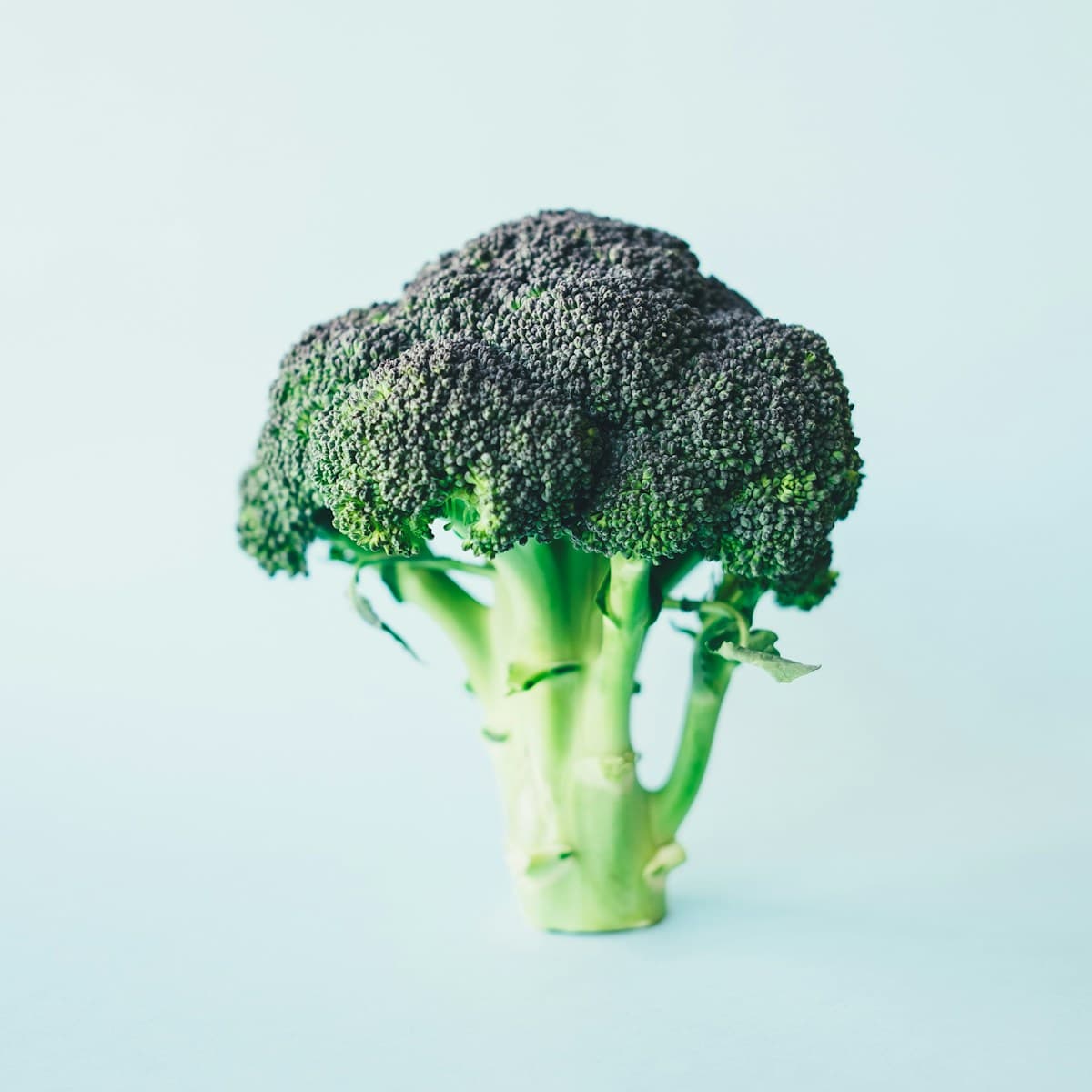 Organic Broccoli Crowns