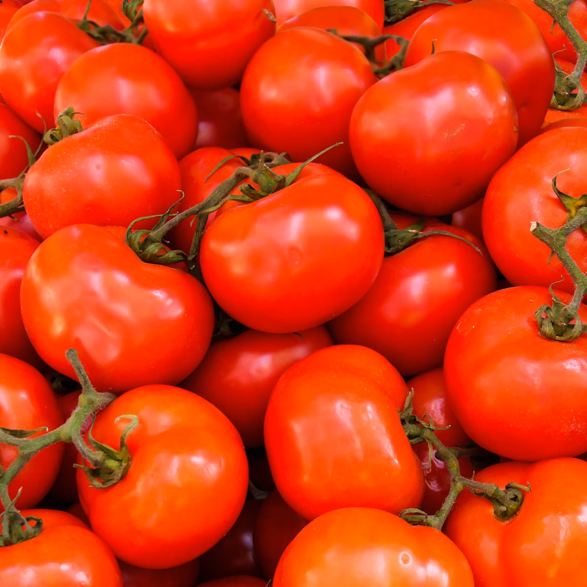 Organic Grape Tomatoes