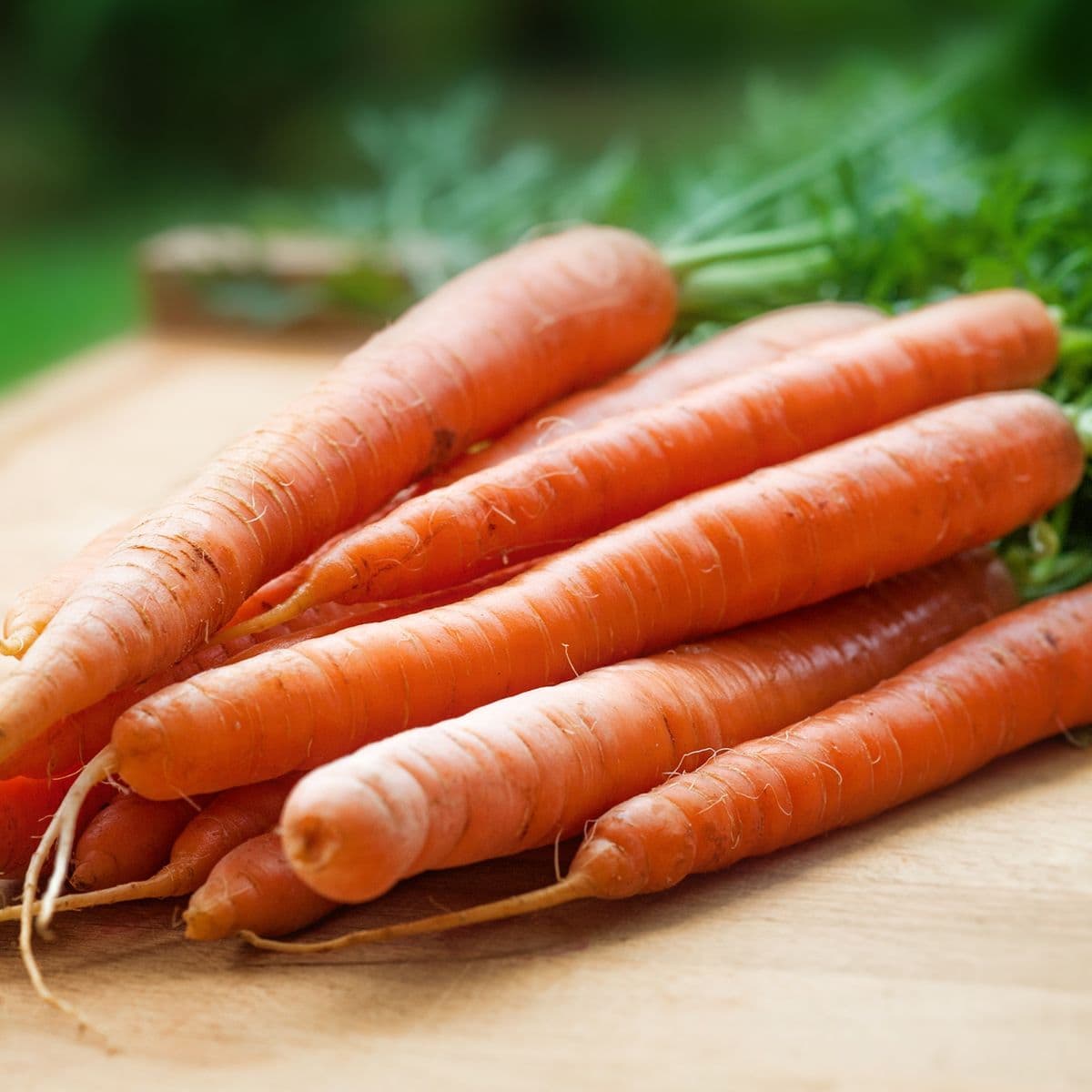 Organic Italian Parsley