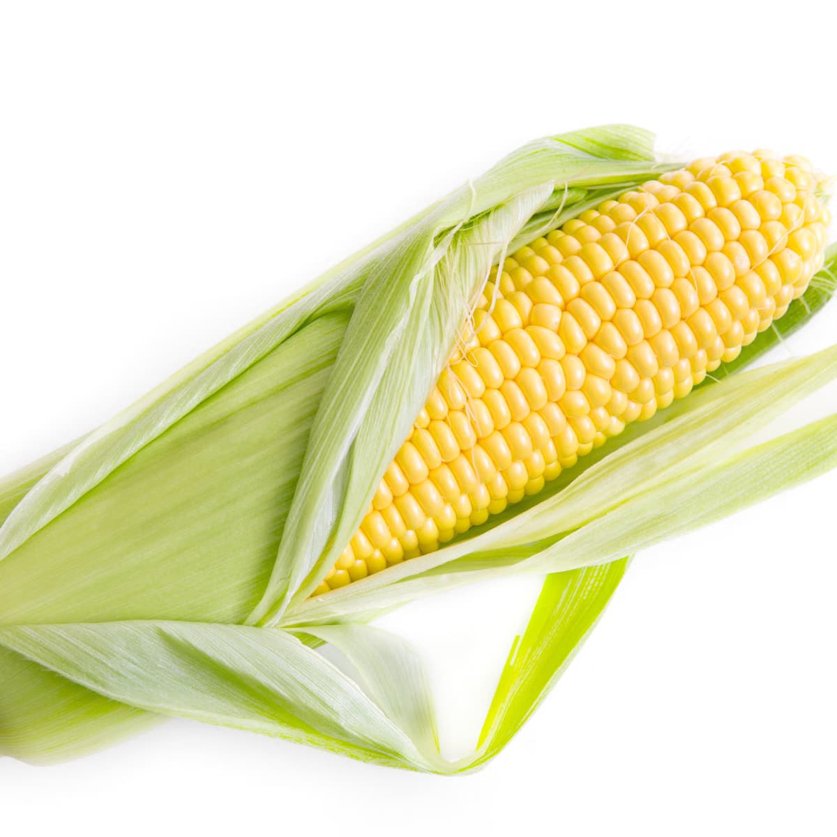 Organic Sweet Corn